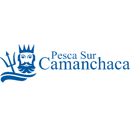 Logo Camanchaca